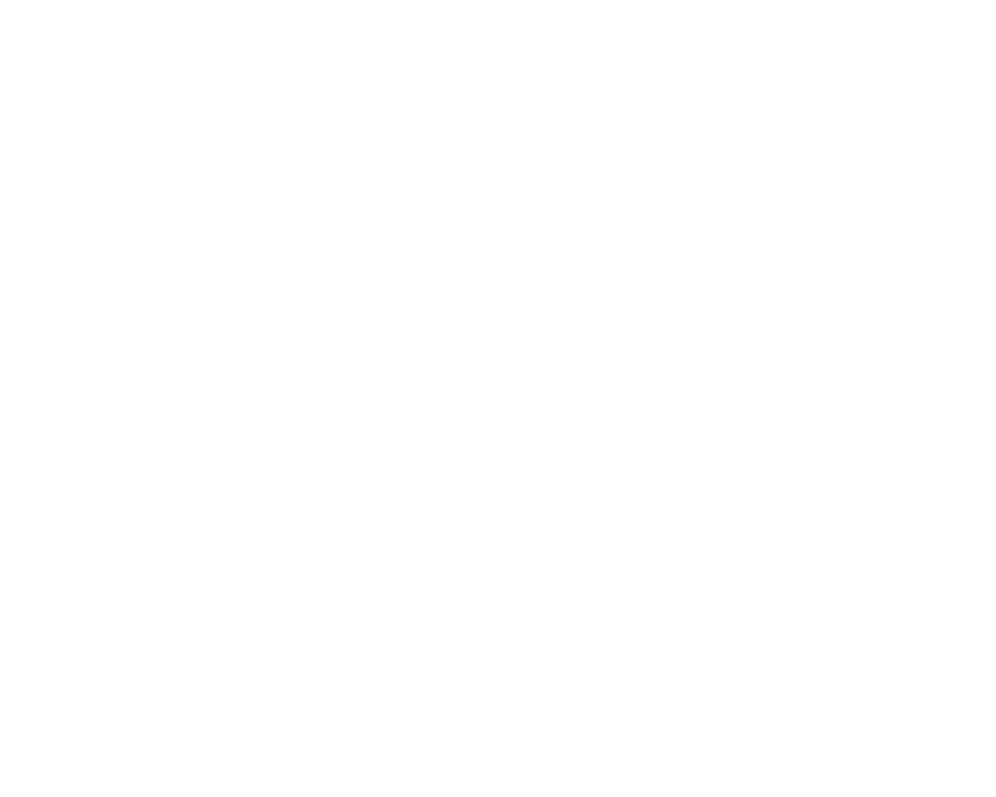 Chiot Cane Corso Mâle N°2
