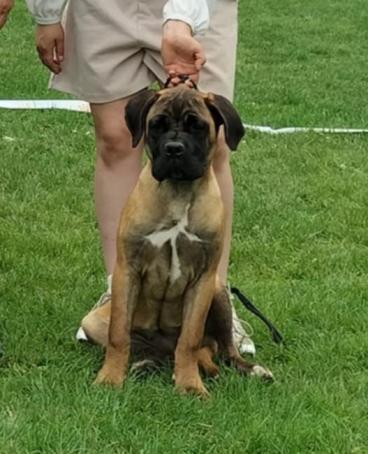 azuria du Domaine des Terres Noires